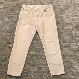 Tapered pants in gray corduroy